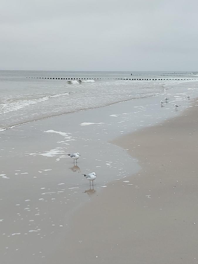 Achterwasser Blick Uckeritz Esterno foto